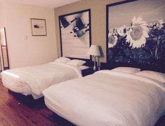 Super 8 by Wyndham Smoky Lake Rom bilde